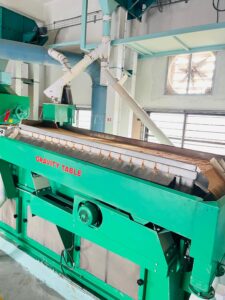 WhatsApp Image 2025-10-10 at 15.40.33 (2)