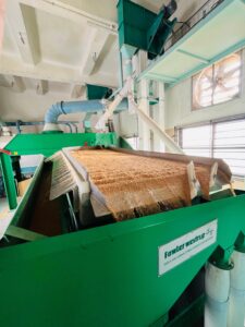 WhatsApp Image 2025-10-10 at 15.40.33